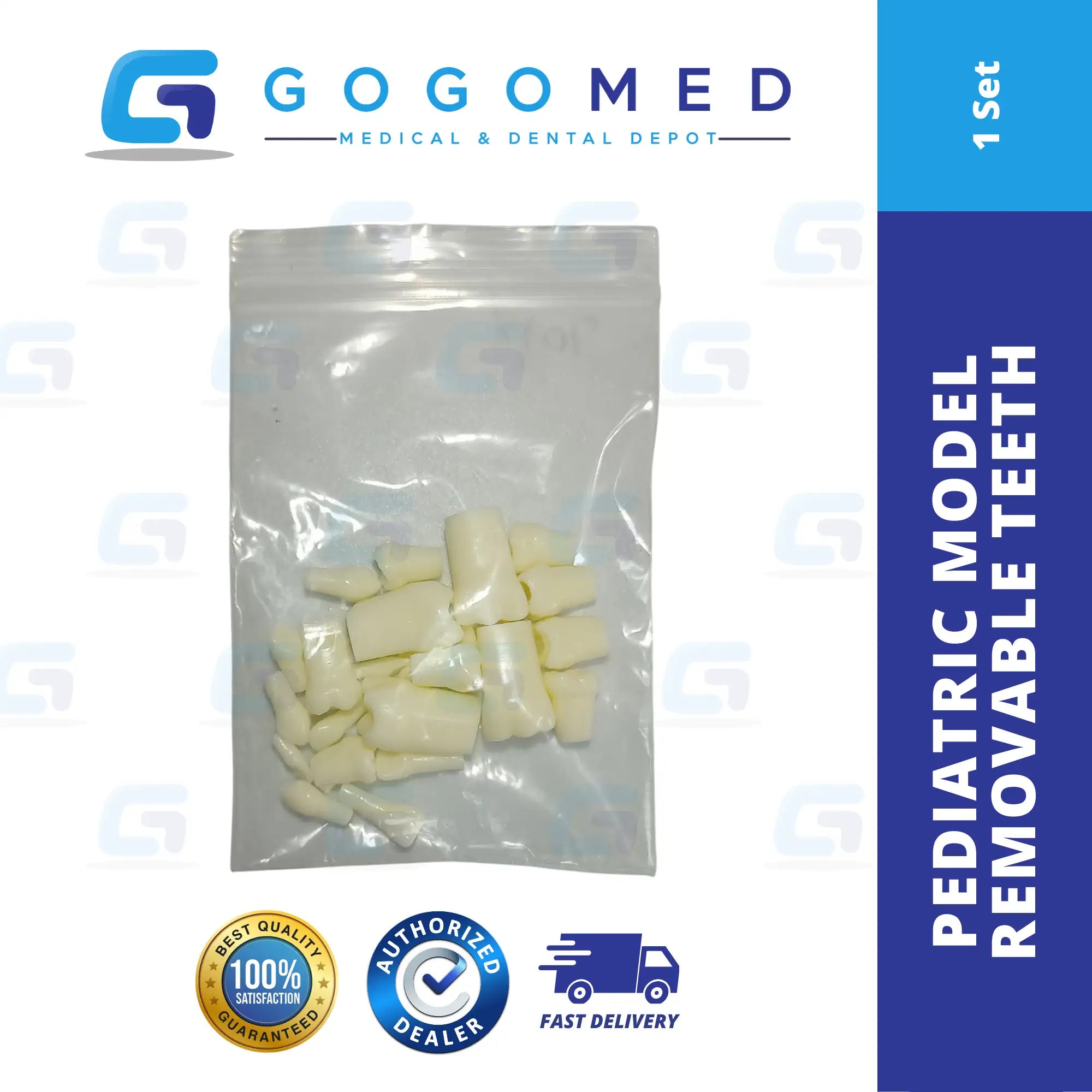 Pediatric Model with Articulator