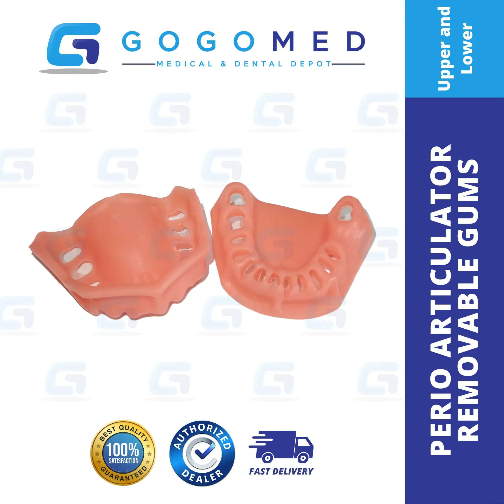 Perio Articulator Screw Removable Teeth