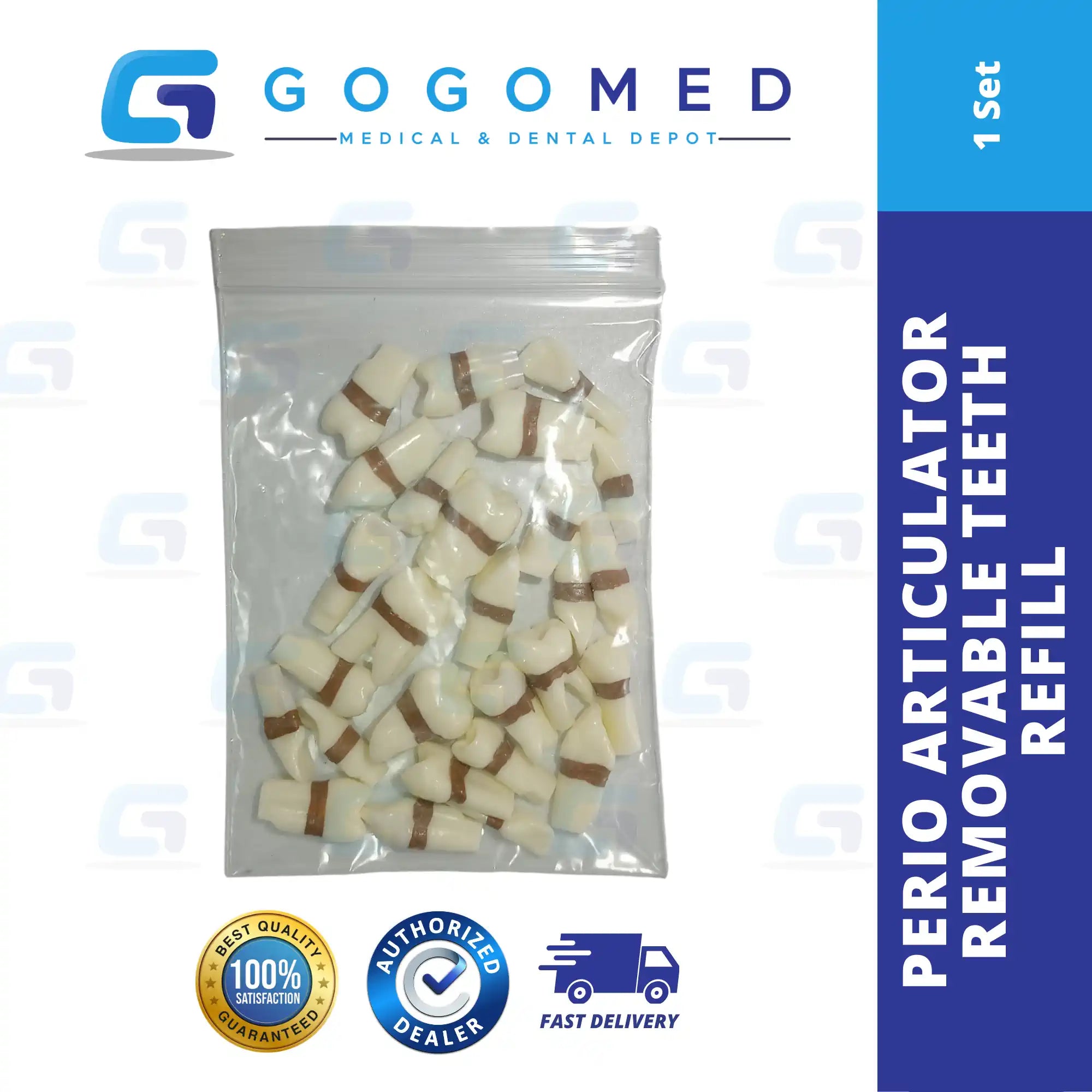 Perio Articulator Screw Removable Teeth