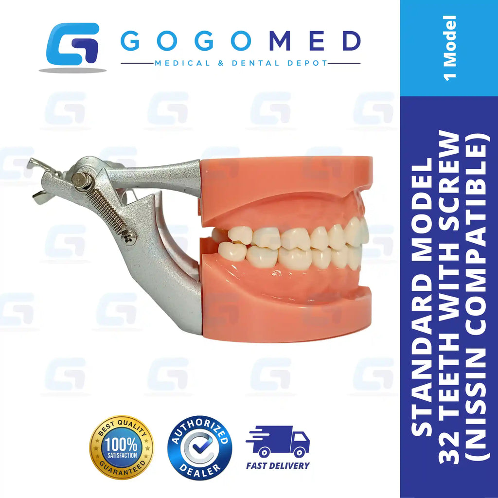 その他 NISSIN DENTAL MODEL Nissin Study Model – Unicare Dental Medical Supply