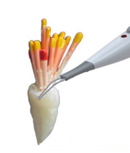 Gutta Percha Cutter - Gogomed Supplies