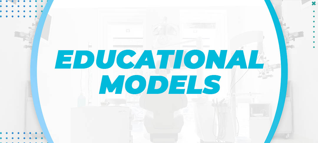 Educational Models