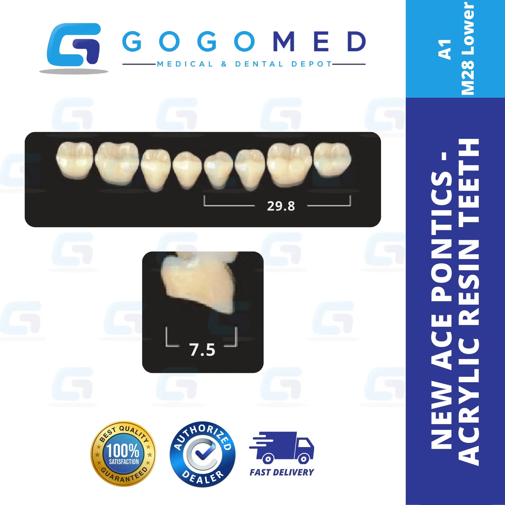New Ace Pontics - Acrylic Resin Teeth(Shade A1)
