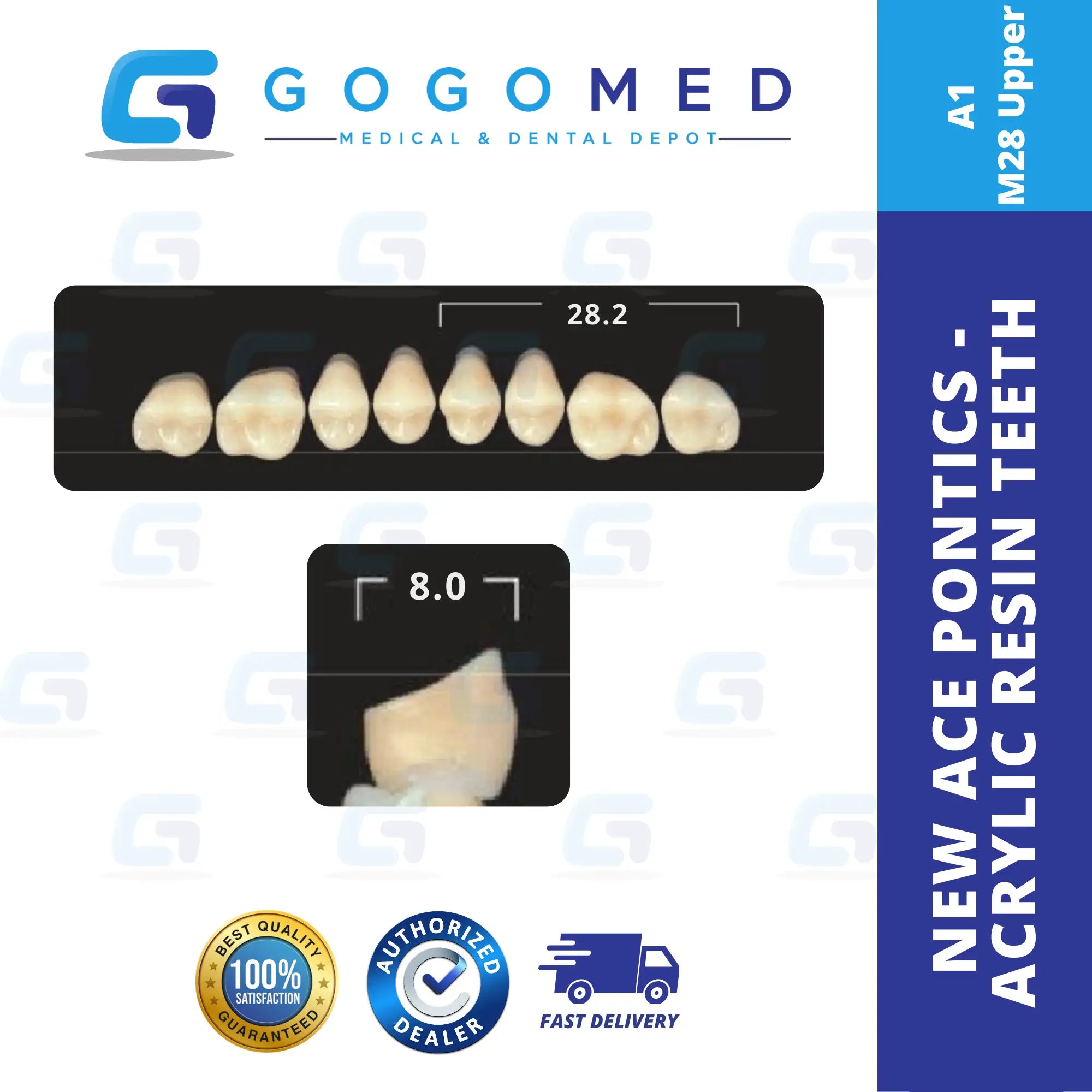 New Ace Pontics - Acrylic Resin Teeth(Shade A1)