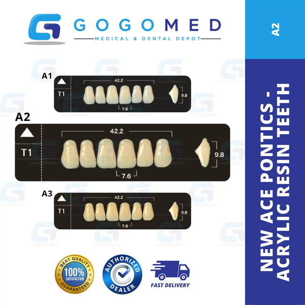 New Ace Pontics - Acrylic Resin Teeth(Shade A2)