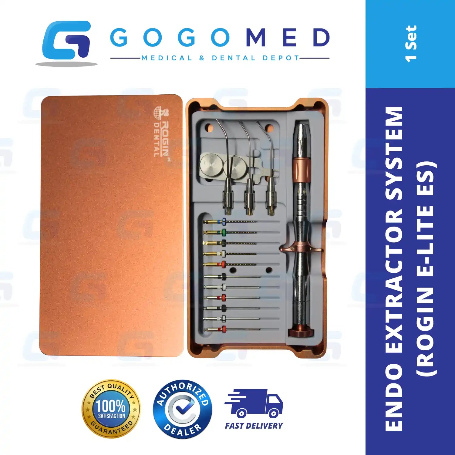 Endo Extractor System (Rogin E-LITE ES)