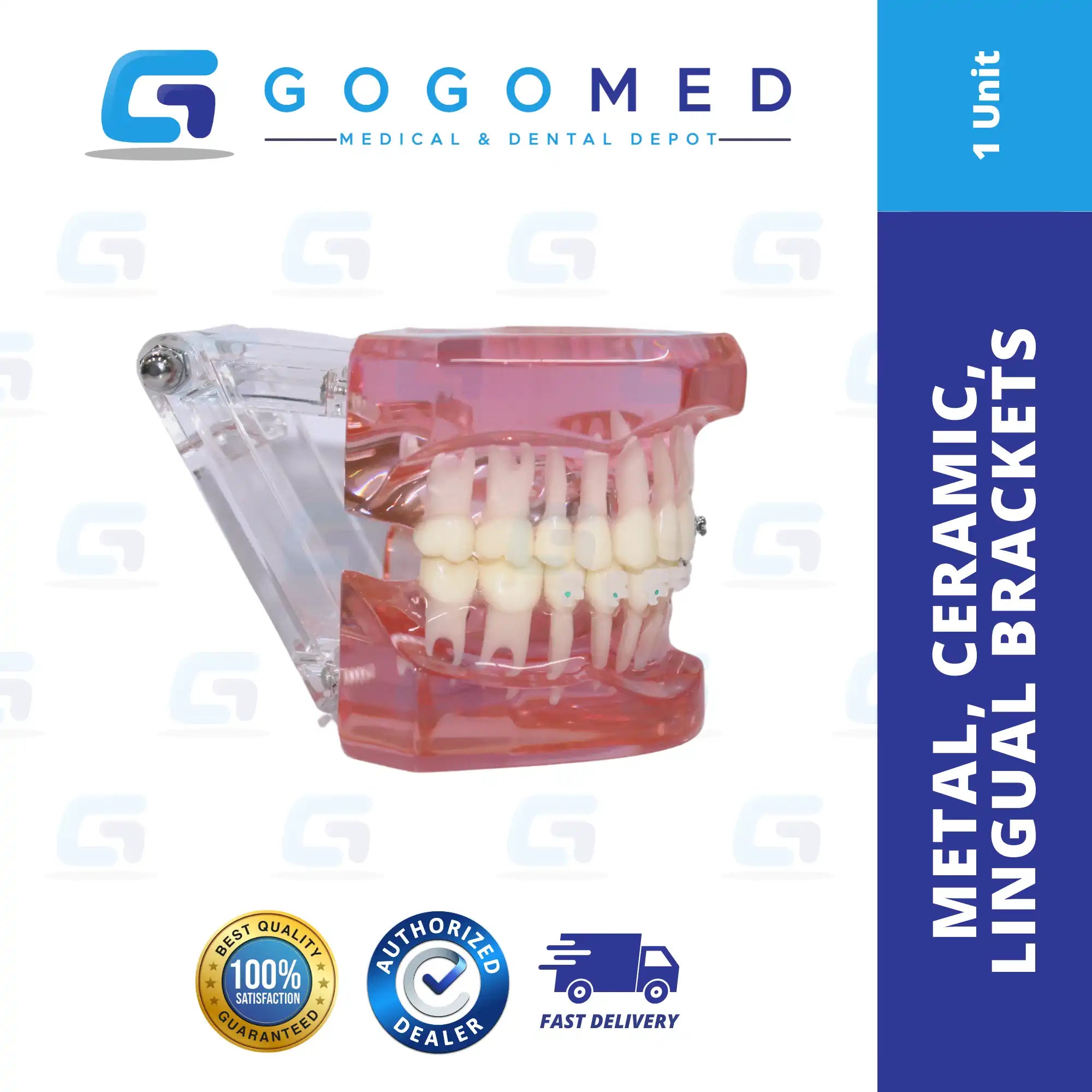 Metal, Ceramic, Lingual Bracket Model