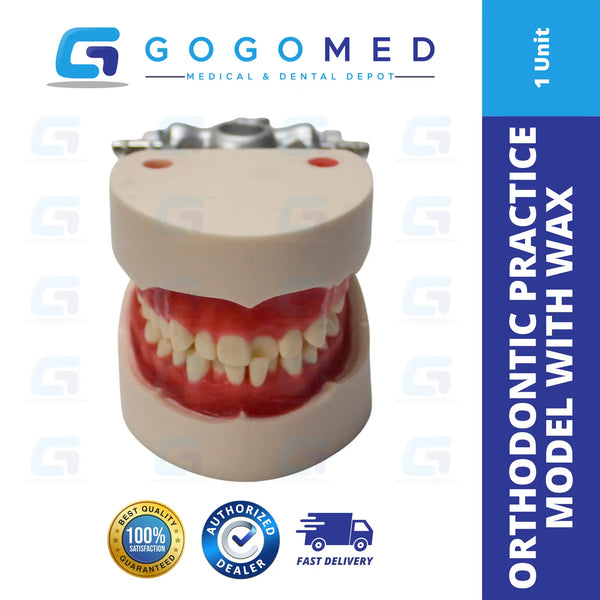 Orthodontic Practice Model with Wax