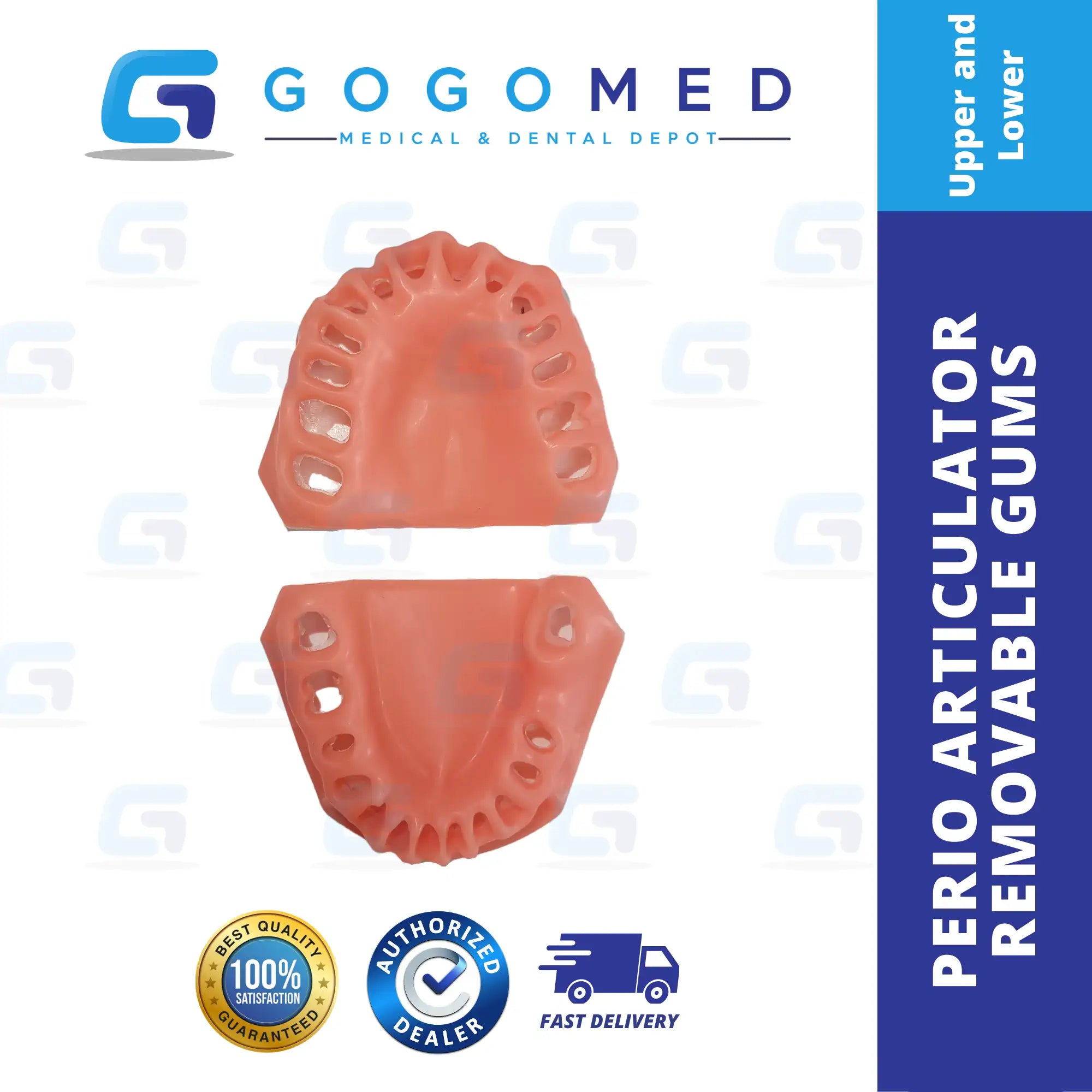 Perio Articulator Screw Removable Teeth