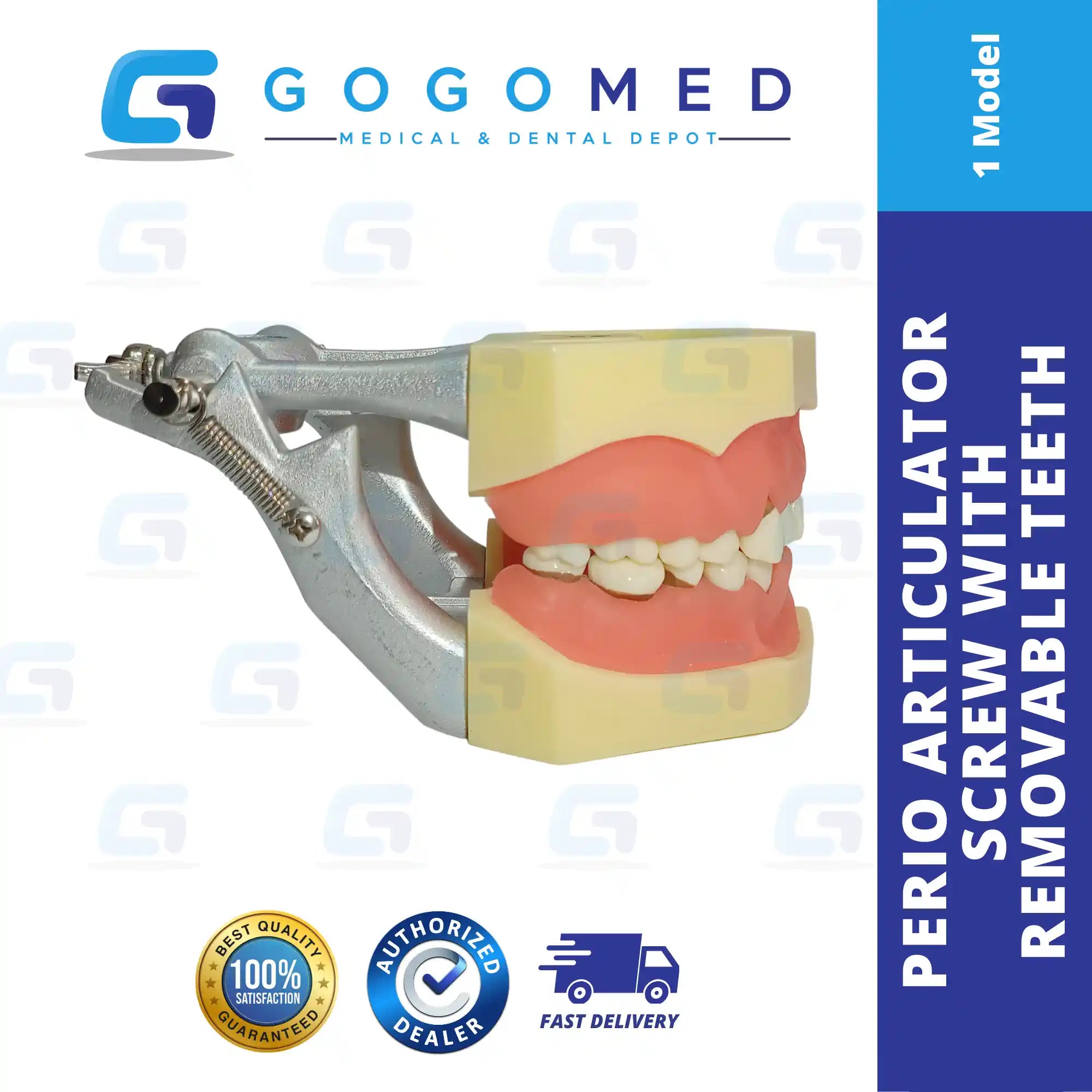 Perio Articulator Screw Removable Teeth