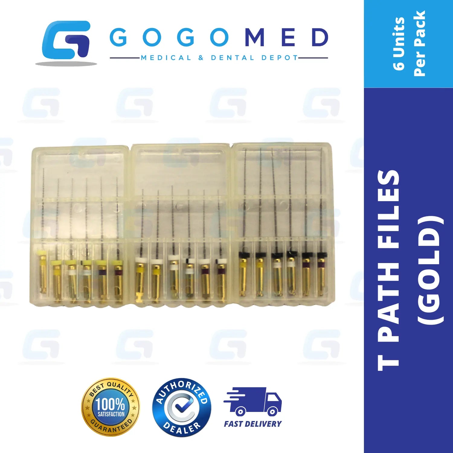 T-Path Files Gold (Glide Path)