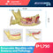 Removable Mandible Anatomy and Pathology - Gogomed Supplies