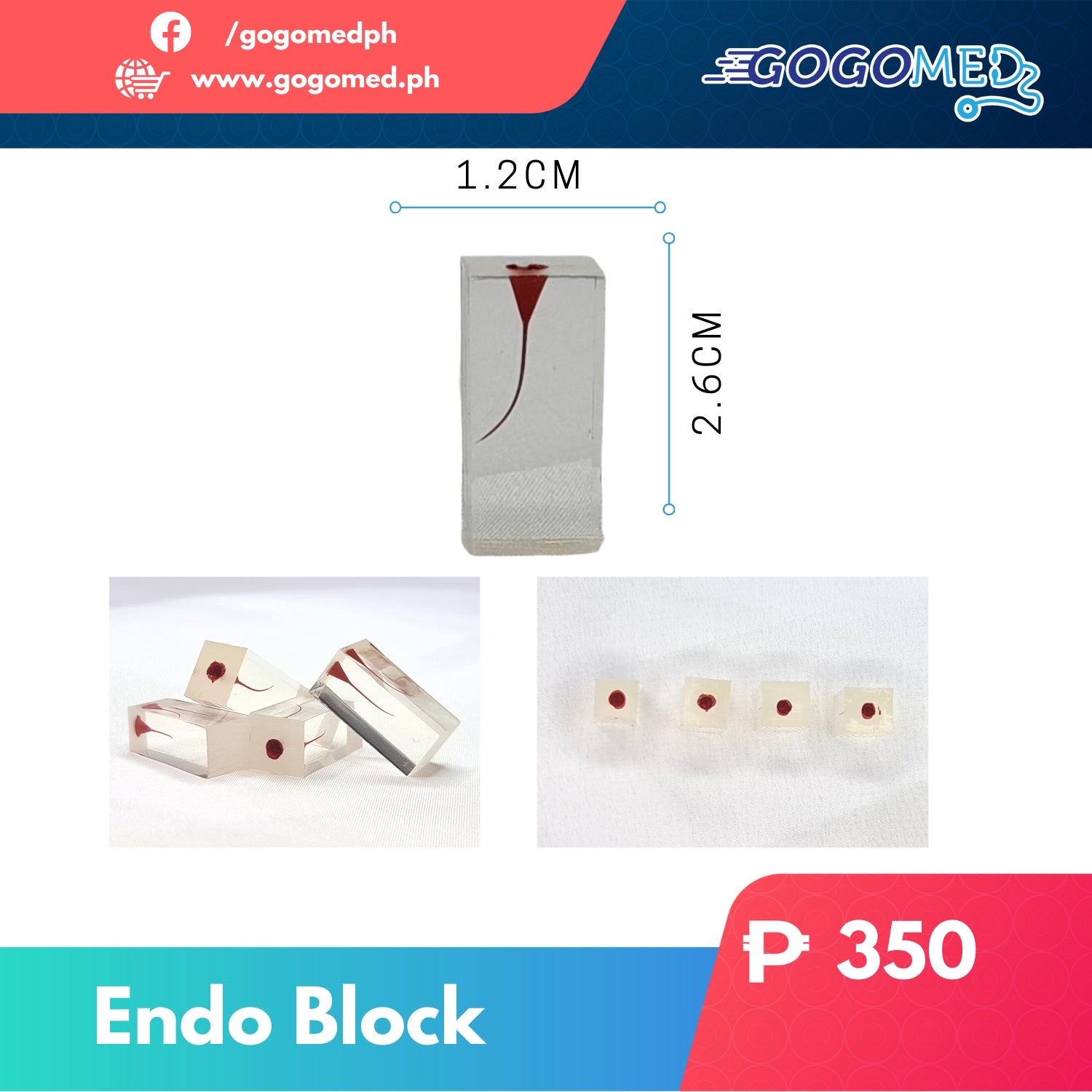 Endoblock Kit Endo Block Model (1pc) – Gogomed Supplies