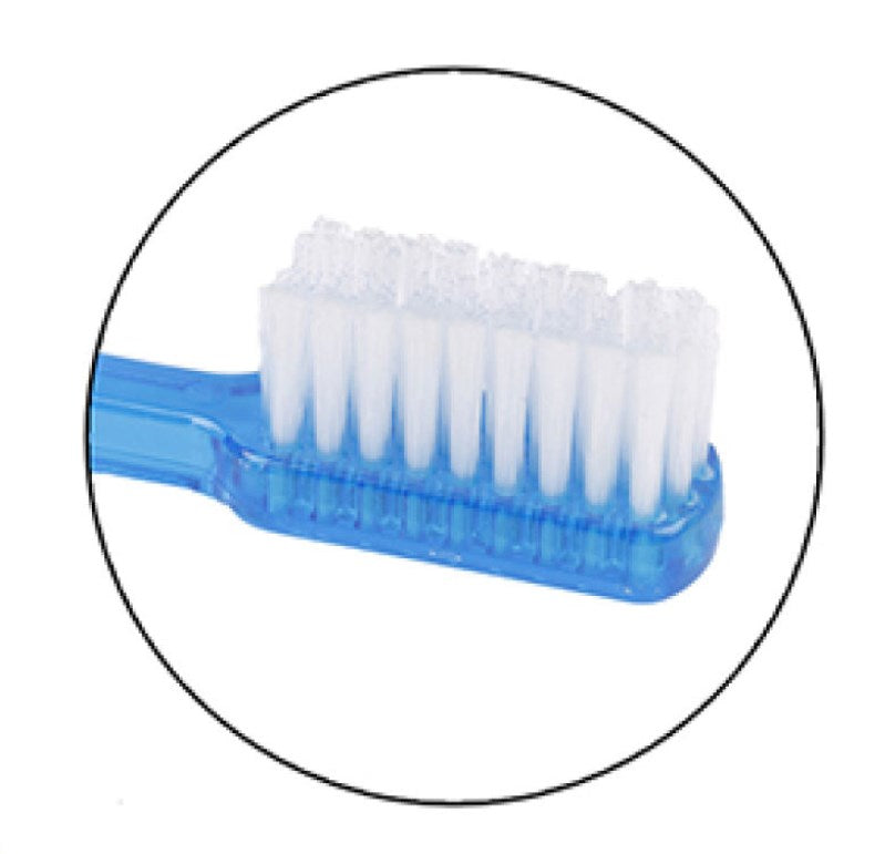 Ortho Brush with Interdental
