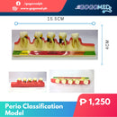 Perio Classification Model - Gogomed Supplies