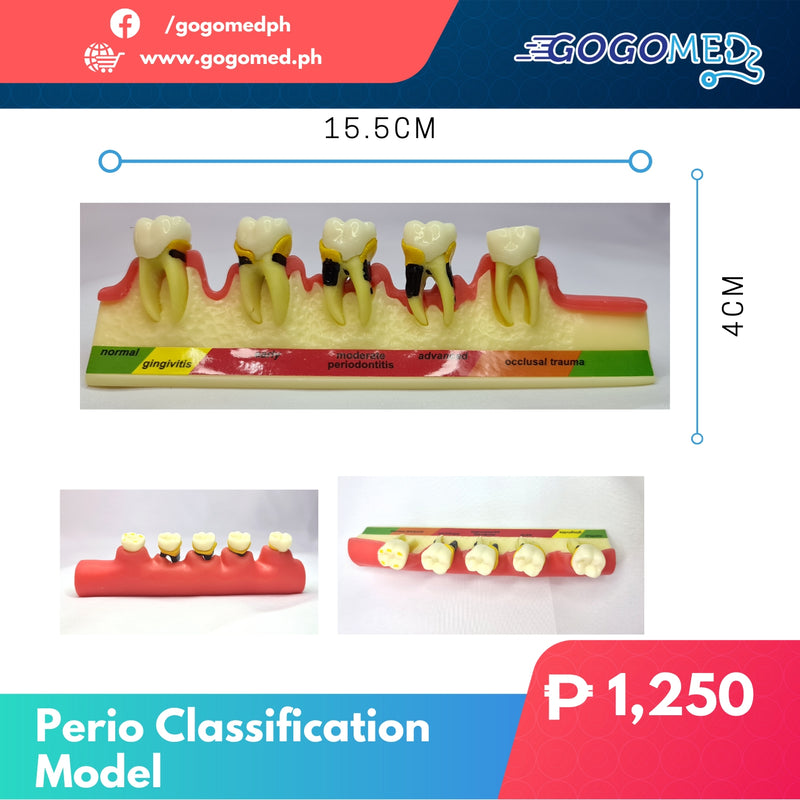Perio Classification Model - Gogomed Supplies