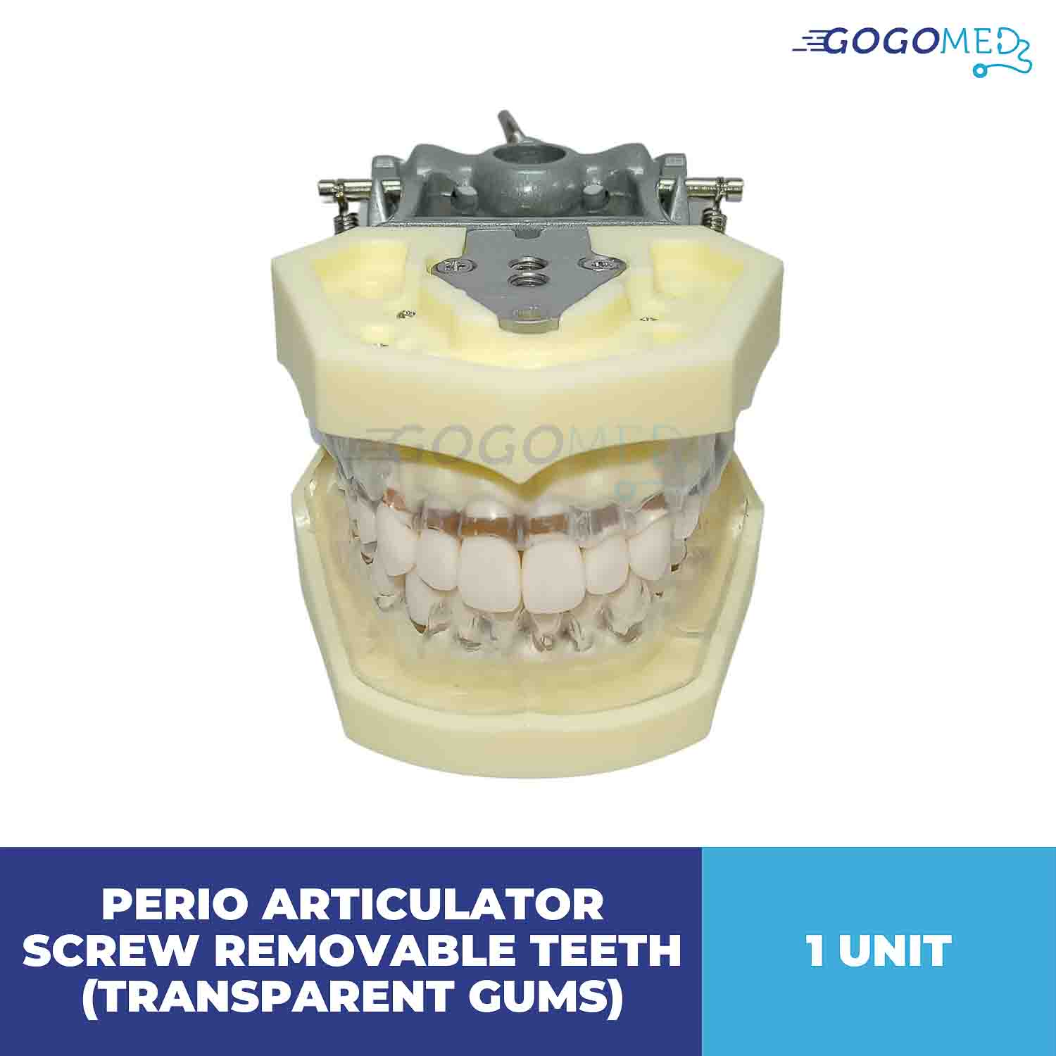 Perio Articulator Screw Removable Teeth (Transparent Gums)