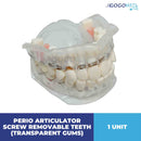 Perio Articulator Screw Removable Teeth (Transparent Gums)
