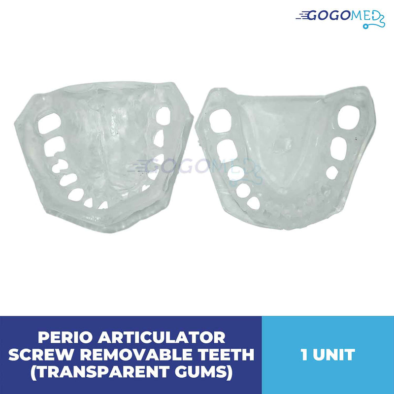 Perio Articulator Screw Removable Teeth (Transparent Gums)
