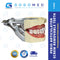 Perio Articulator Screw Removable Teeth (Transparent Pink Gums)