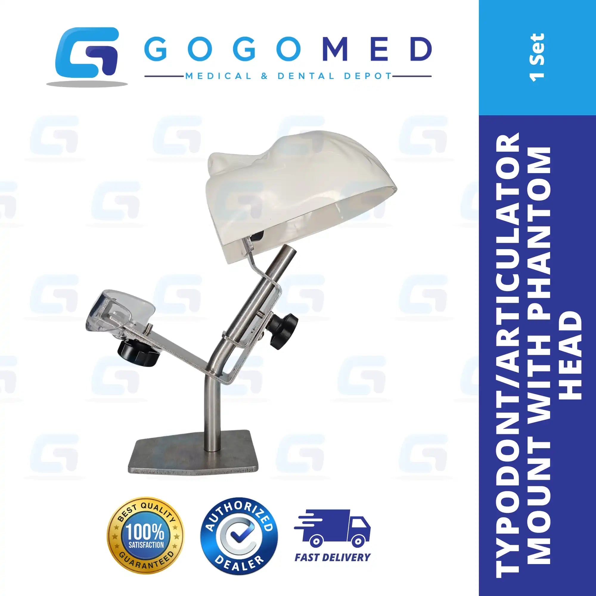 Typodont/Articulator Mount With Phantom Head