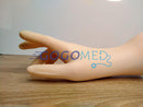 Latex Gloves Powder Free - Glomed - Gogomed Supplies